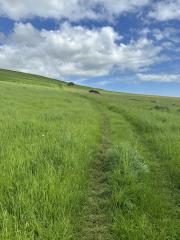 Heading inland towards Abbotsbury